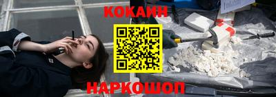 шишки Обь