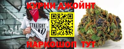 шишки Обь
