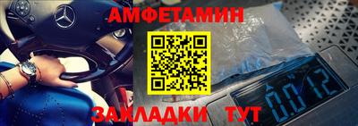 шишки Обь