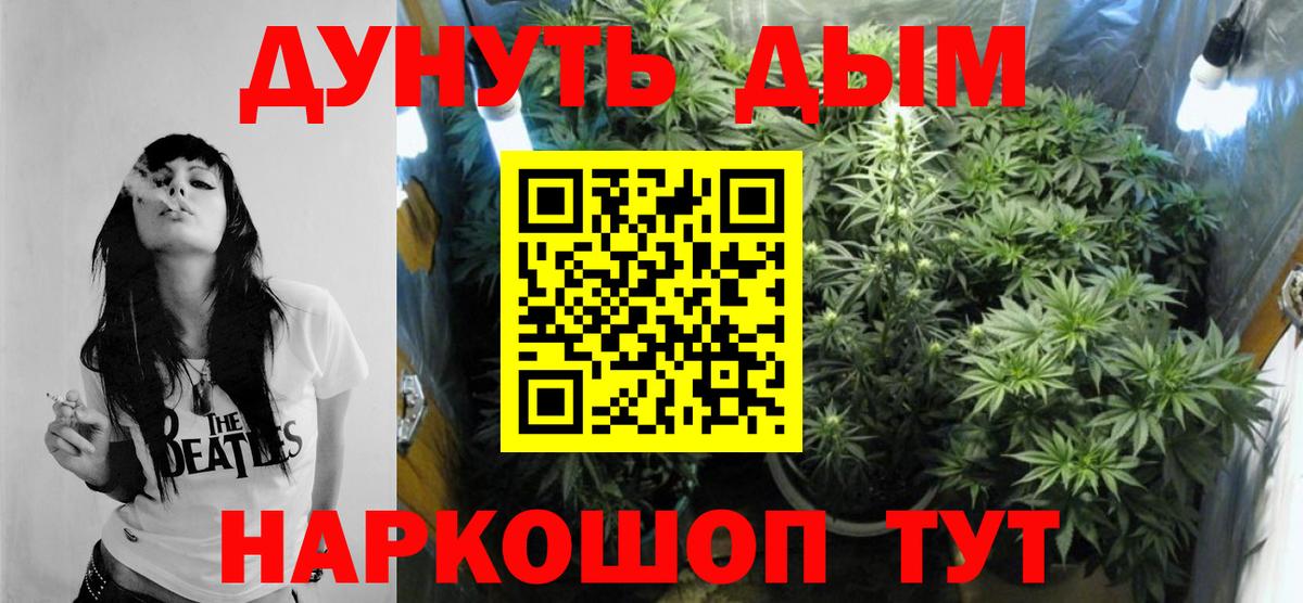 Канабис Amnesia  Вход с VPN  Конопля сатива  Сунжа 