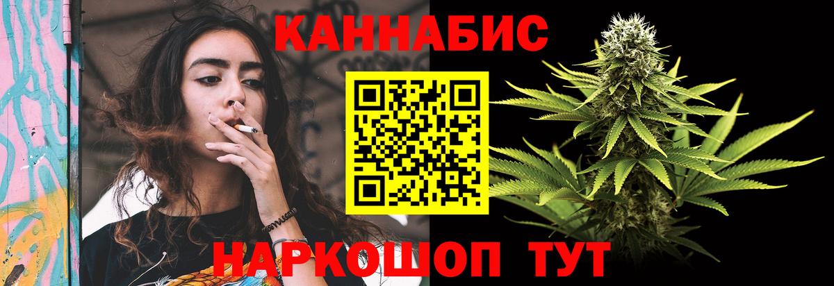 Бошки Шишки конопля Сунжа